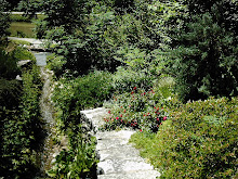 Path by Water Feature