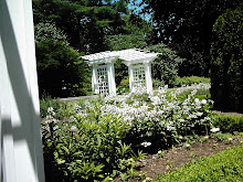 White Arbor