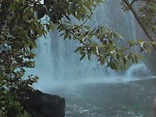 Waterfall and Mist