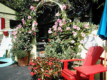 Red Chair