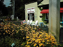 White Chairs and Flowers