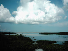 Clouds and Water