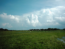 Big Sky