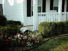 Lisa's Side Garden