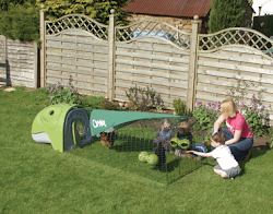 chicken eglu coop chickens backyard coops houses cincinnati underground dayton usa keeping easy greater medium farm leggo check need forming