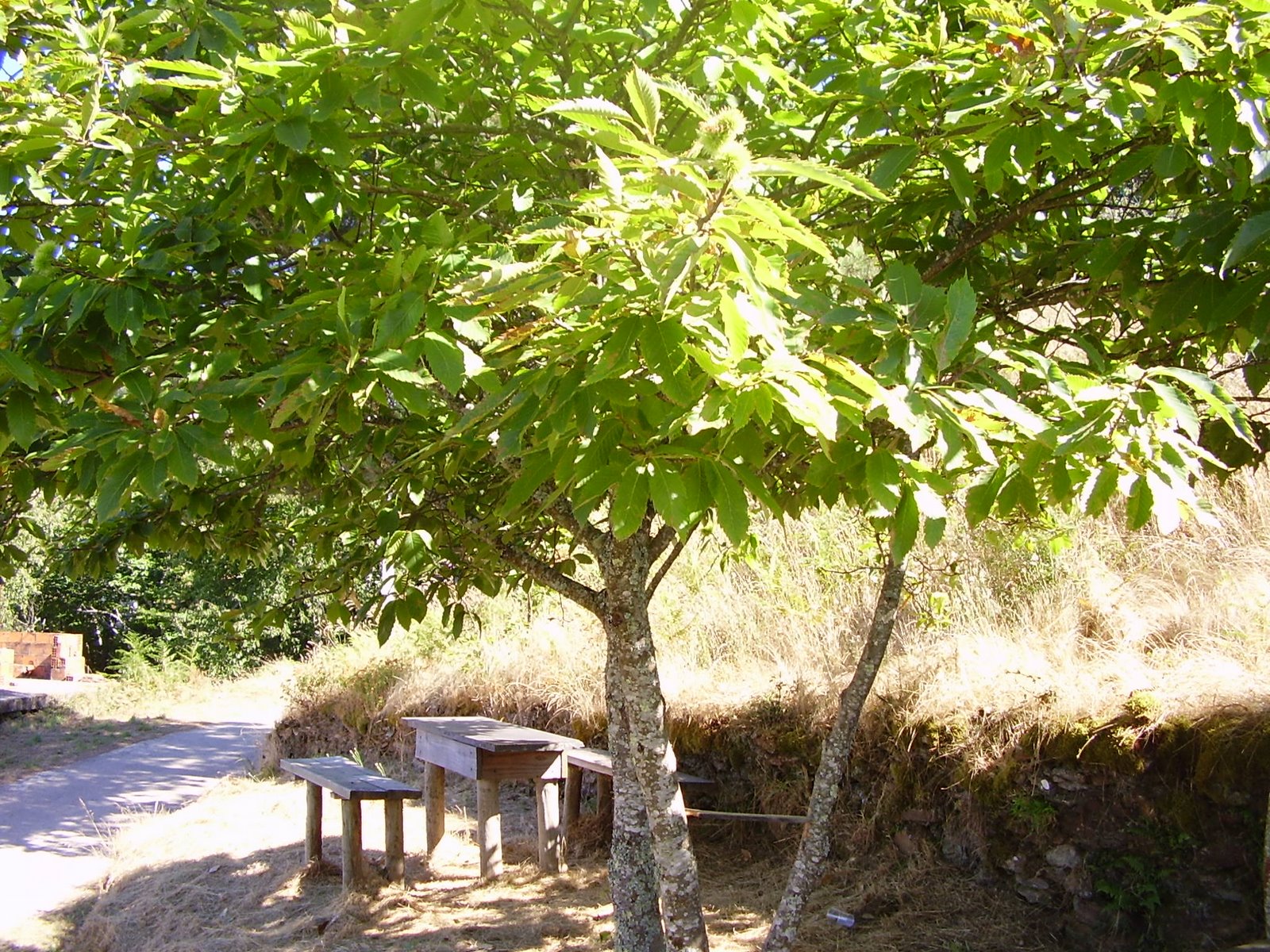 [Férias+2007+024.jpg]