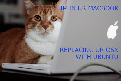Lolcat based on photo by Kevin Steele from flickr (CC-NC)