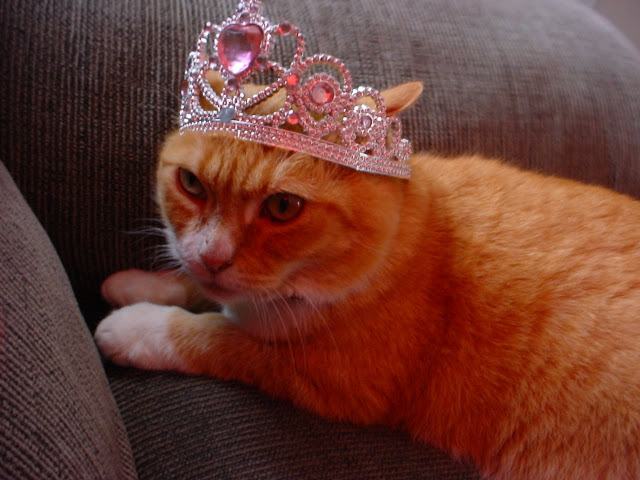 Fuzzy Queen of Couchland by Nibby Nebbulous from flickr (CC-BY)