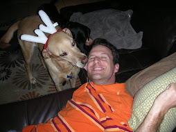 Attack of a Reindeer