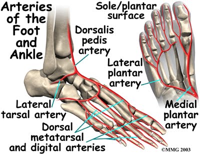 Foot Care in Michigan: What is “Blue Toe Syndrome?”