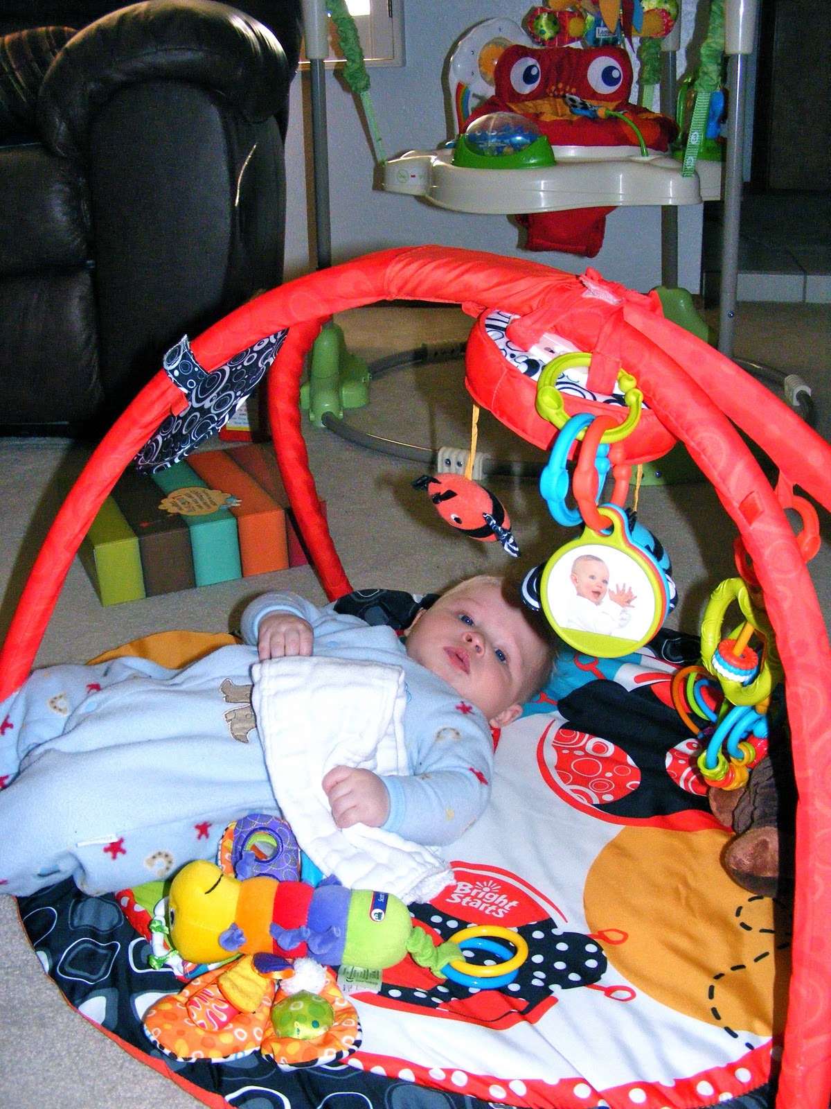 Scott's Hall of Fame Toys Are Us