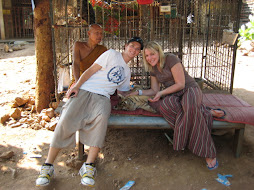 Baby Tigers in Thailand