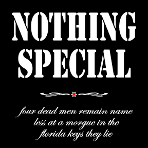 nothing special by allan revich, 2009