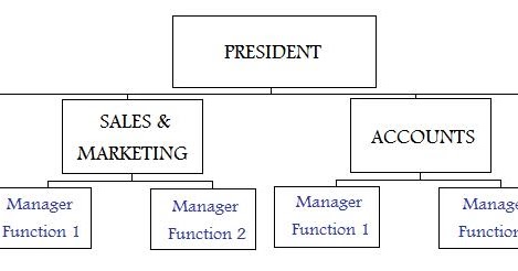 Pre Bureaucratic Structures
