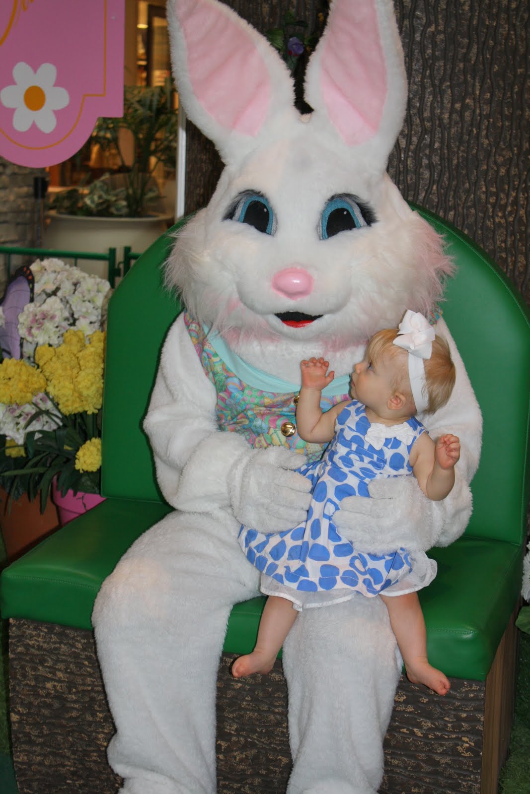 From Dogs to Baby Spring Hill Mall Easter Bunny