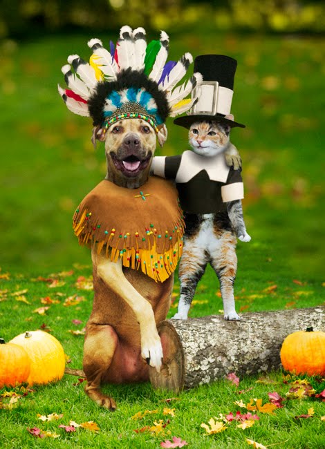 thanksgiving internet games for kids. Take this online Thanksgiving Quiz for EXTRA CREDIT (Kaila, you may do this 