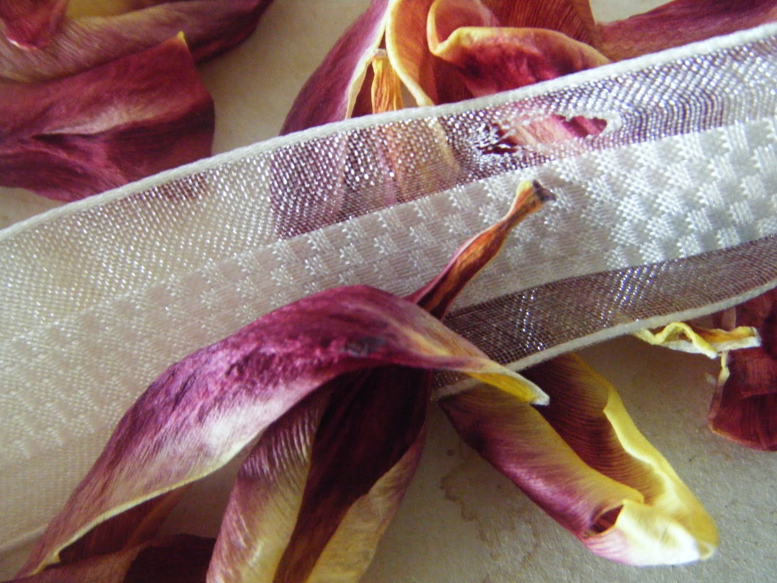 Corners and Moments Treasures, Dried Tulips, Beer and Baking