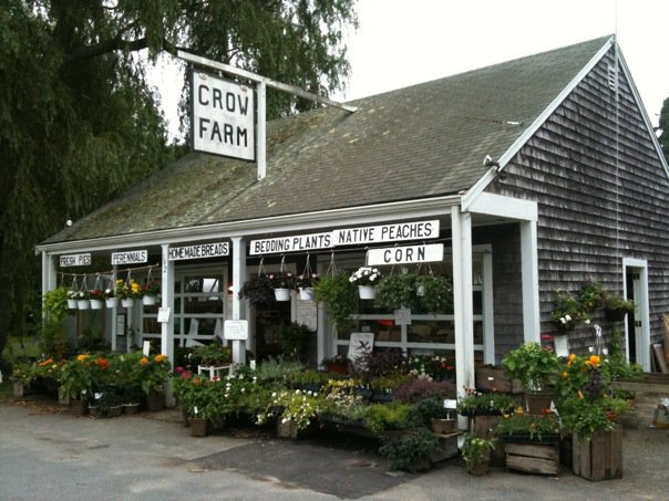 Cape Cod Quality Seafood Restaurant Cape Cod Quality Seafood Restaurant