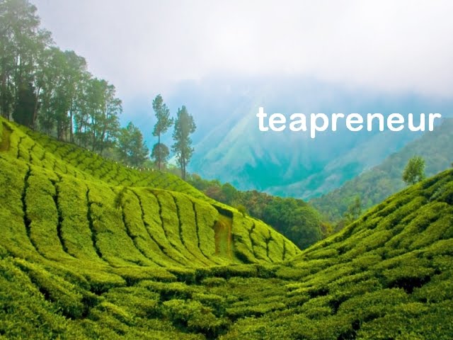Teapreneur