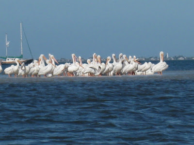 costa cayo state park