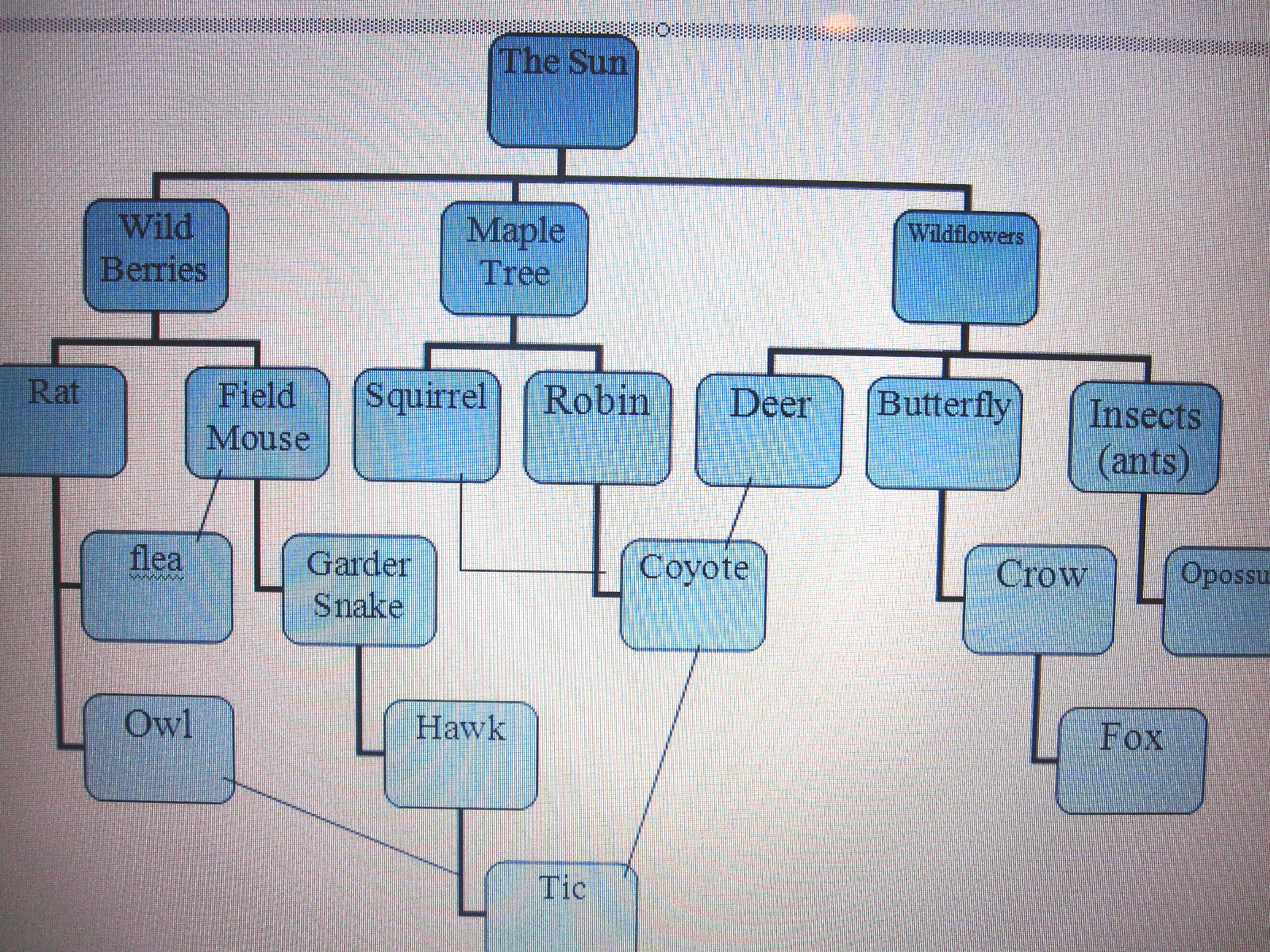 Marketing Food Science Marketing Food Science