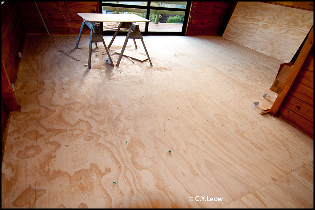 Man Behind Lens WET WET WET