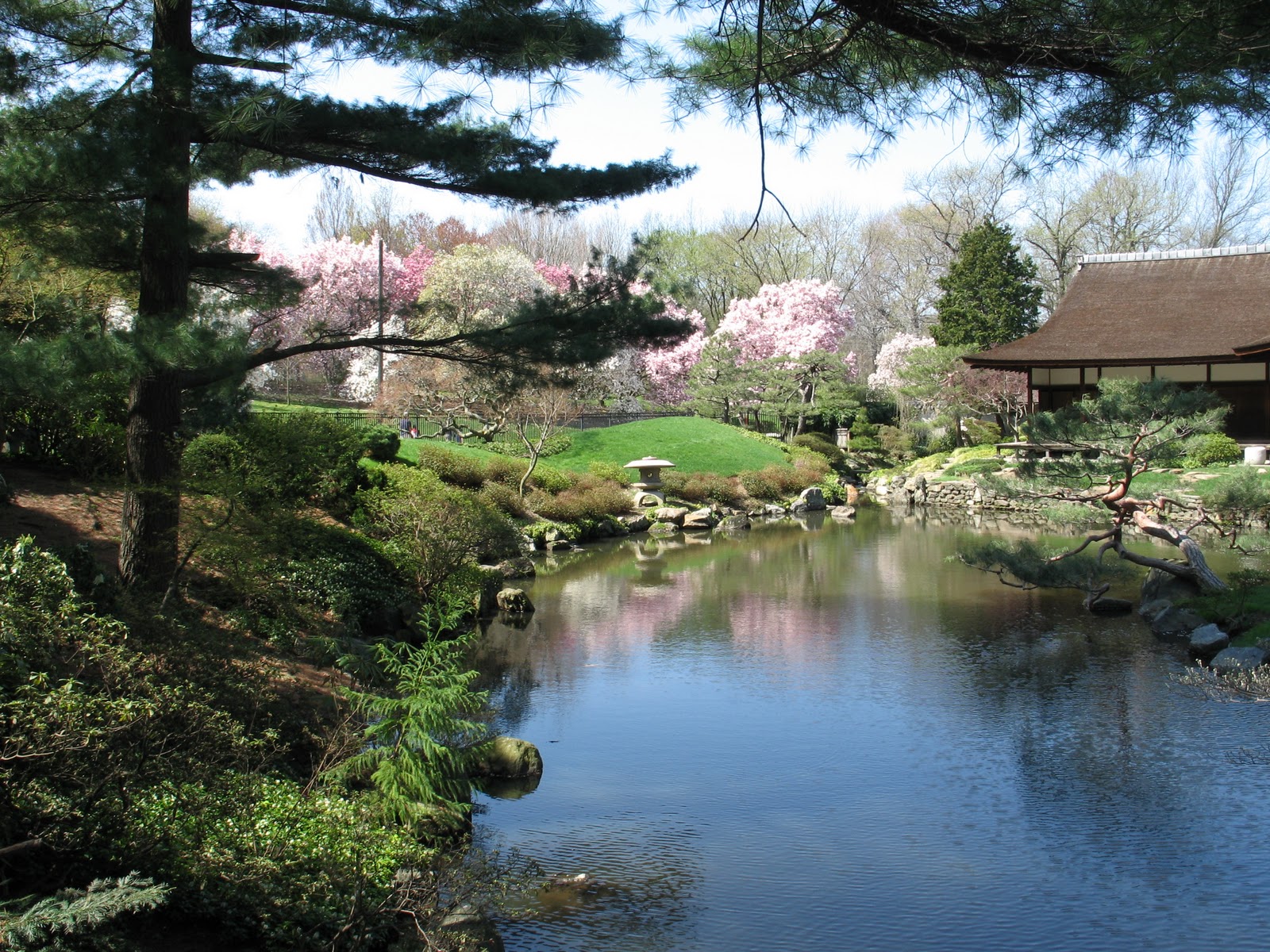 Shofuso Japanese House And Garden Parks On Tap