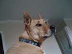 My precious Hannah