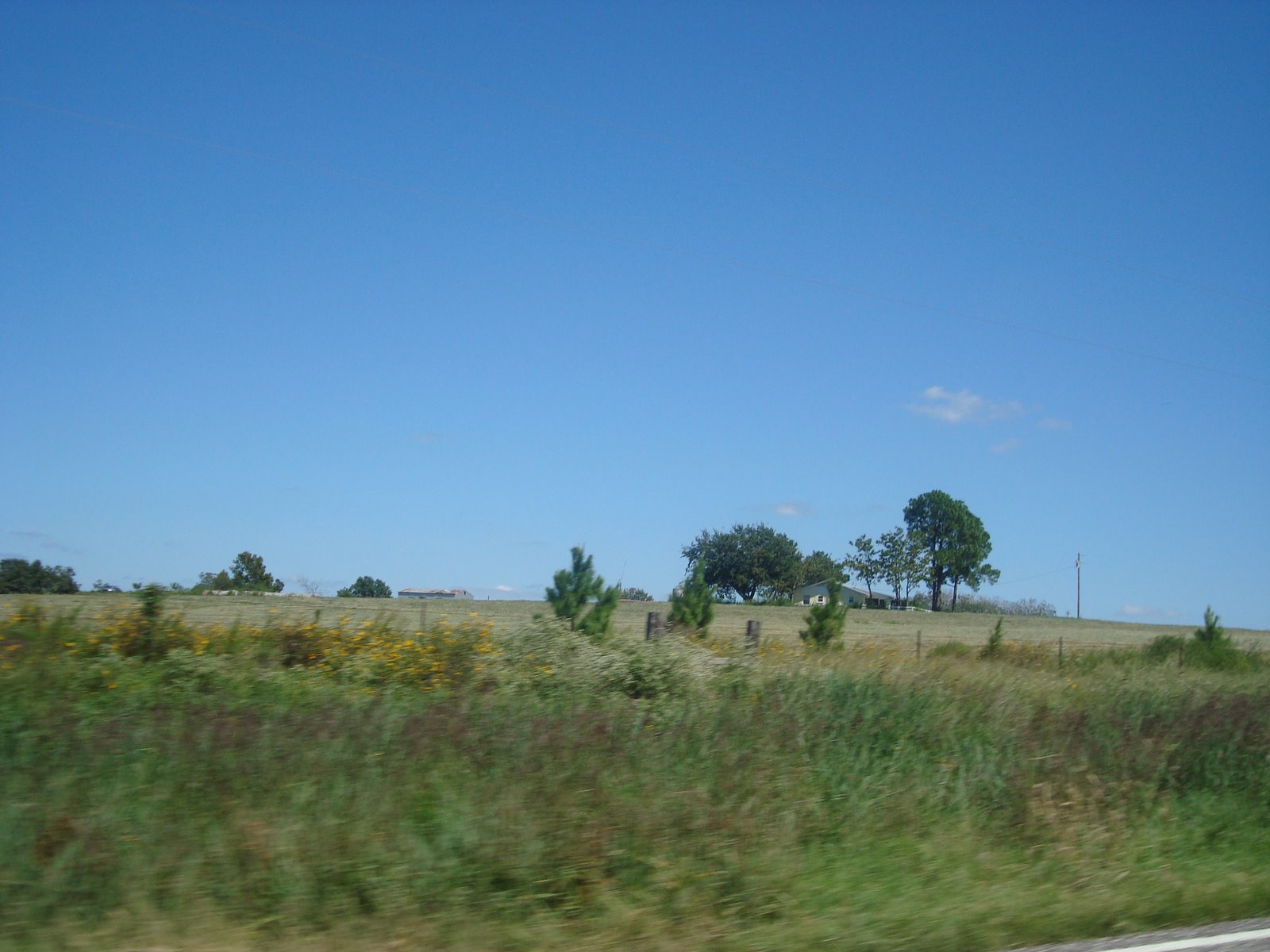 [DSC07691.JPG]