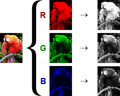 It came from the blog.....: An Introduction to Digital Graphics