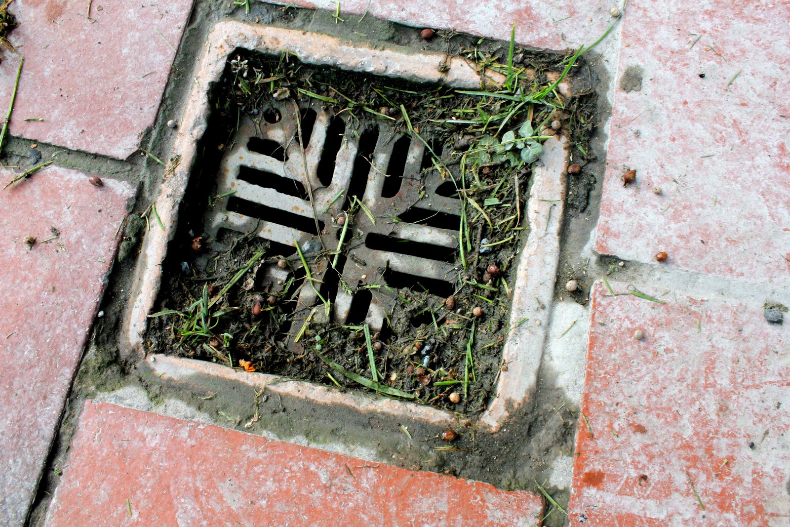 Russell Pointer Animators Blog November 2010