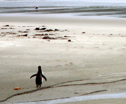 wings birds without laura singapore