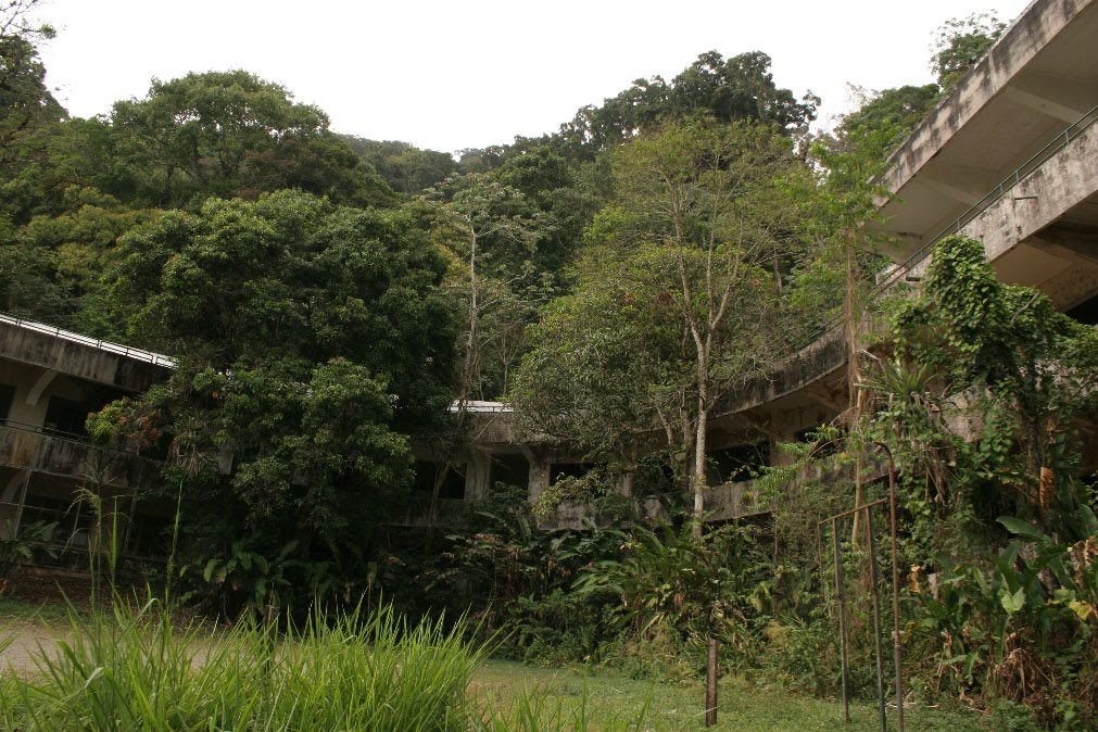 Siempre Verde Venezuela De Rancho grande, sus investigadores, su