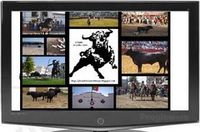 Canal "Festa Brava no Ribatejo"