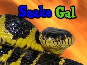 Snake Gal's Blog