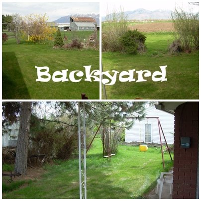 [backyard.jpg]