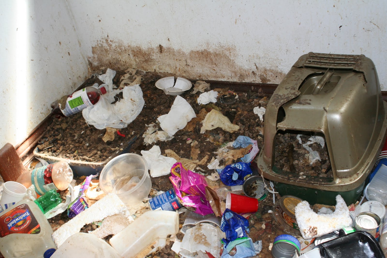 Veterinary Rescuer Cutting through the Red Tape...