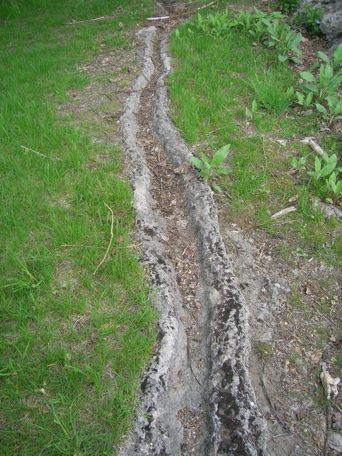 GRAND LIFE LUKE'S HOT POTS