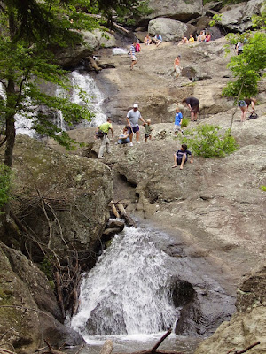 Water Fall Cunningham State Park