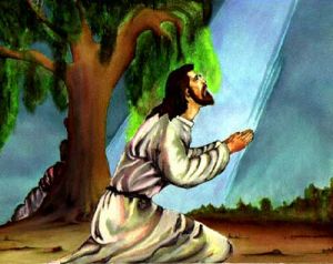 [jesus-in_gethsemane0091[1].jpg]