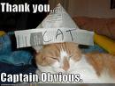 [captain+obvious.jpg]