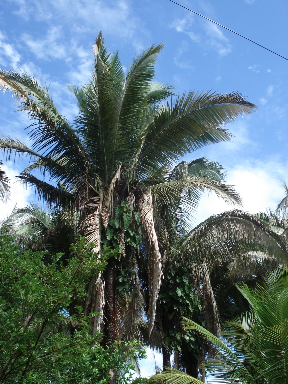 [DSC09847.JPG]