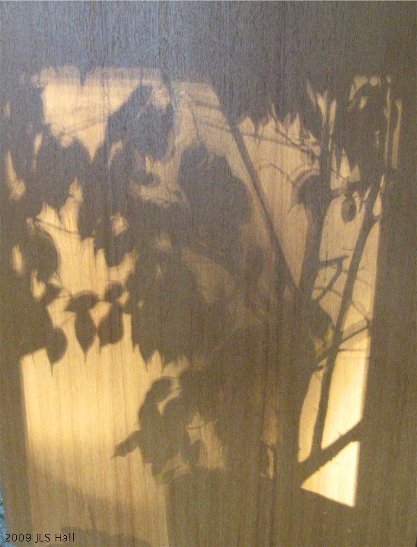 [PlantedShadows-02.jpg]