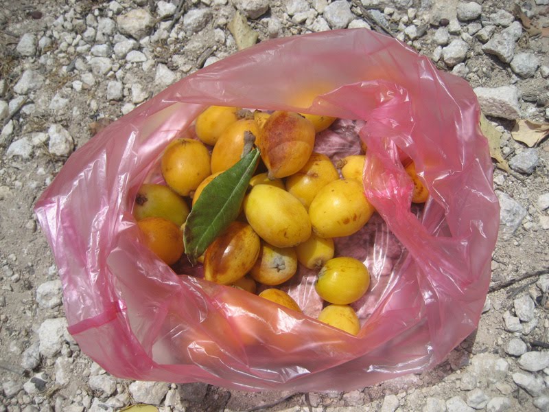 Hey teach me some English Nine days in Cyprus