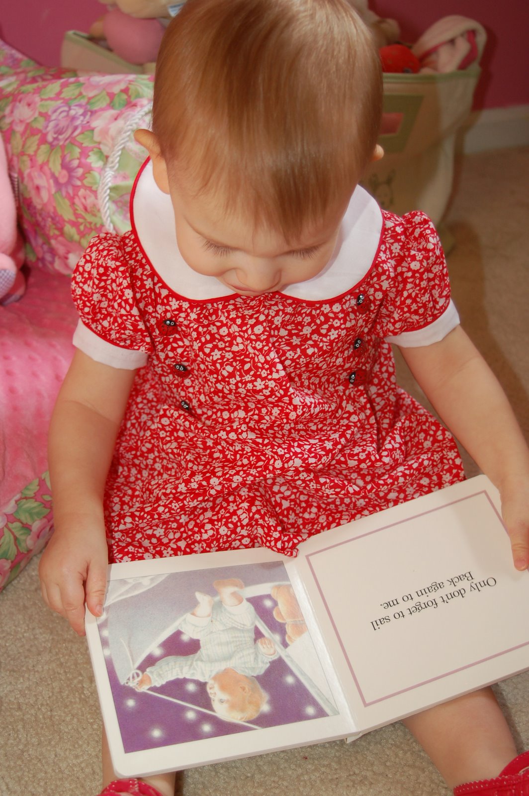 [Shover2008_0907_080852AA.JPG]