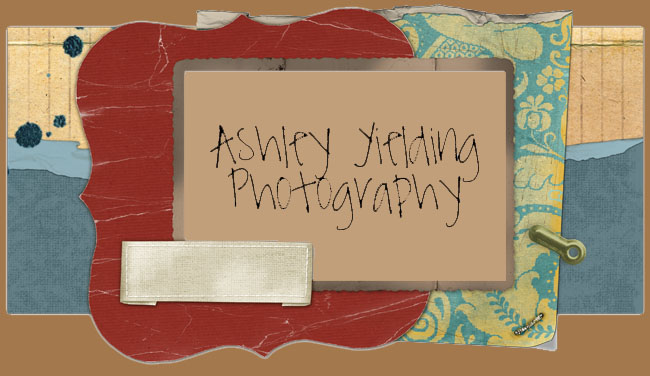 Ashley Yielding Photography