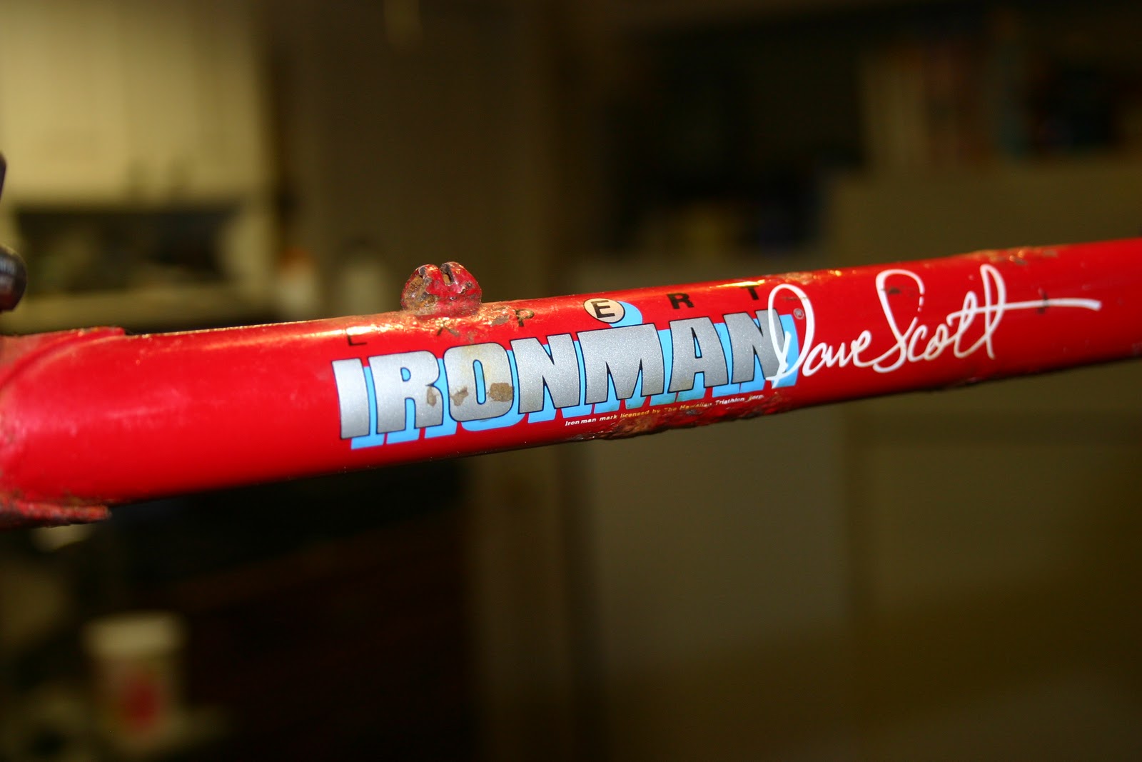 centurion dave scott ironman expert