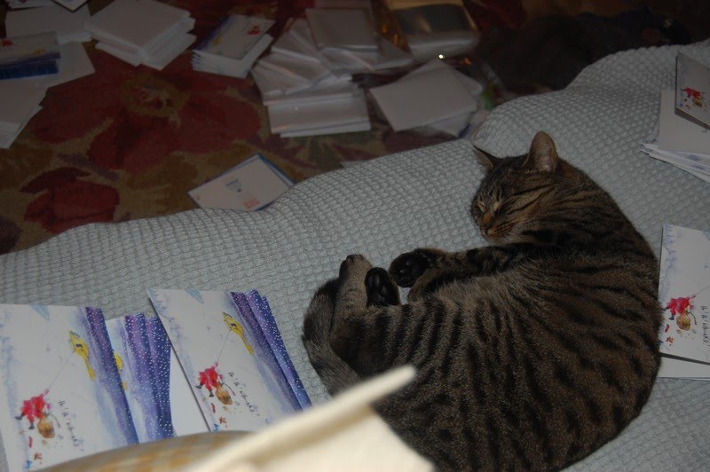 Wales air ambulance christmas cards