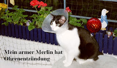 Merlin, mein Blogwächter