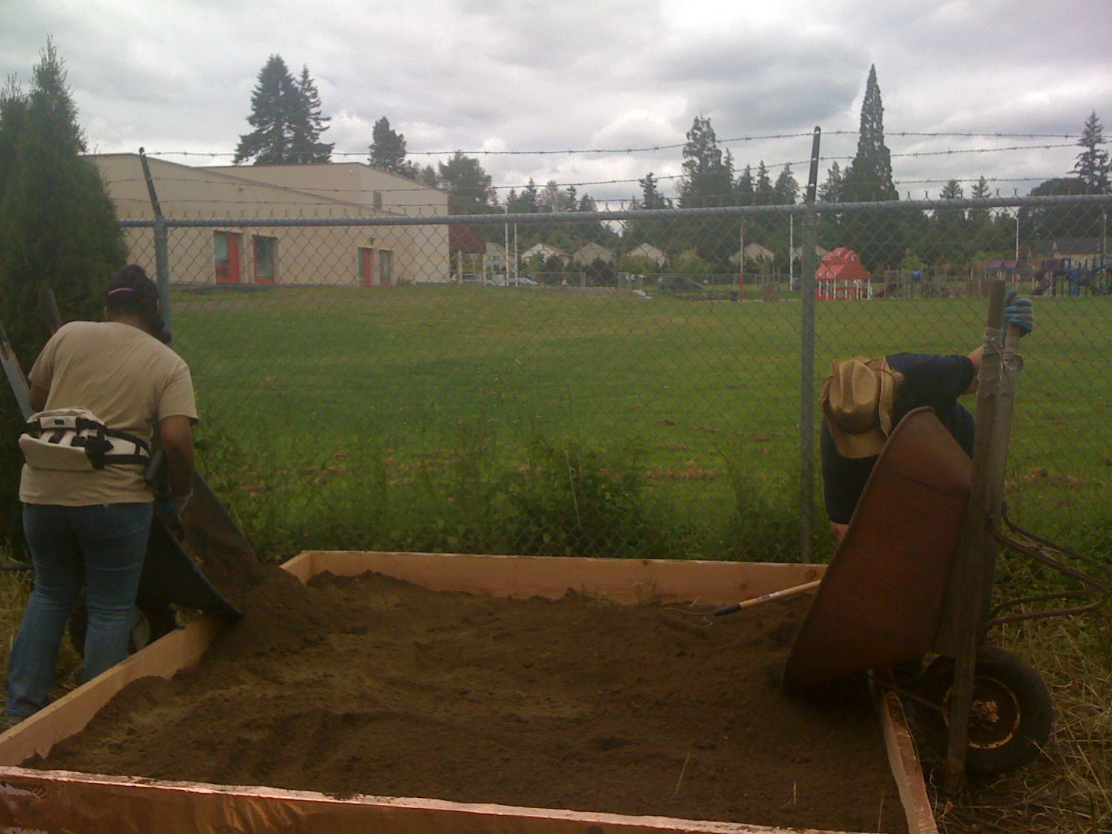 A Craftacopia: Lasagna Gardening 101